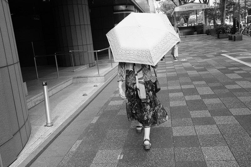 新人さん_e0374932_06122926.jpg