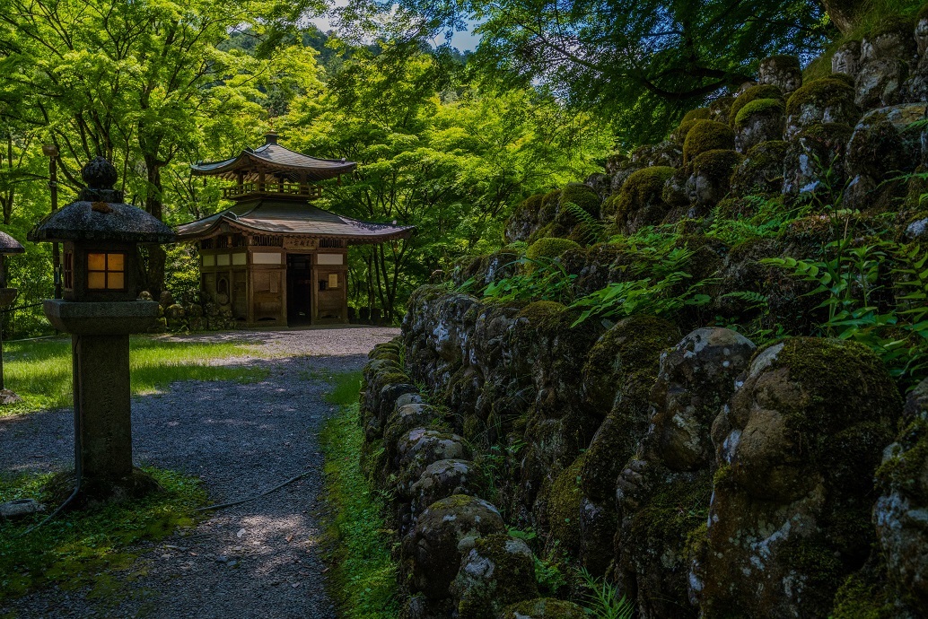 愛宕念仏寺の青もみじ_e0363038_18592425.jpg