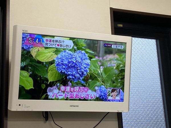 読売テレビ「ニュースten.」、三室戸寺のあじさい園紹介_d0020139_20205790.jpg