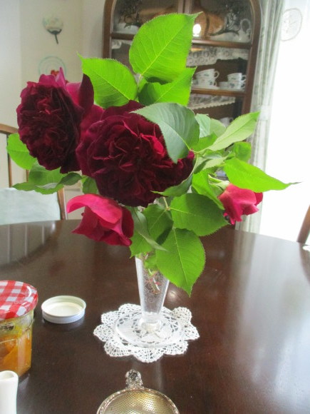 薔薇が少しづつ咲きだした~(^^♪_a0279743_12554018.jpg