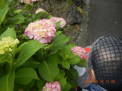 今日の活動!_d0178056_17080027.jpg