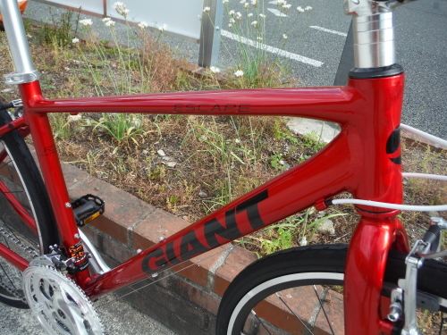 ジャイアント エスケープR3 レッドもお勧めです!_b0332867_20135183.jpg