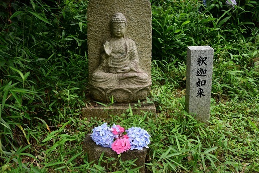 コスモスとアジサイのお寺　　　般若寺_c0303868_13555024.jpg