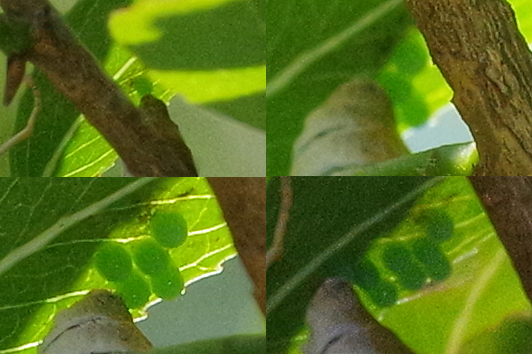 宣言解除_e0167571_21314514.jpg