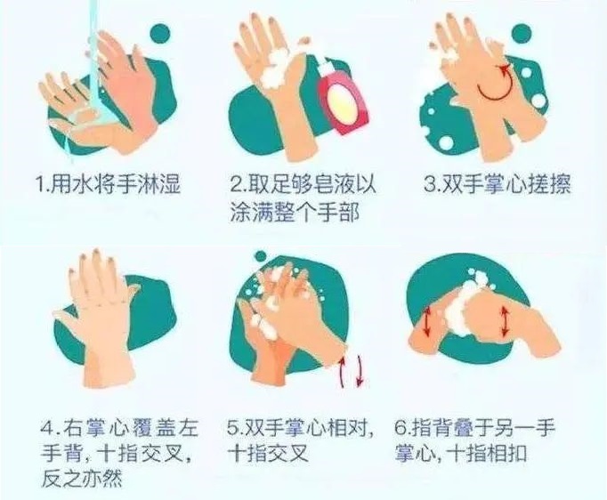 转美国医生关于新冠病毒的文章摘要抄_d0007589_19301158.jpg
