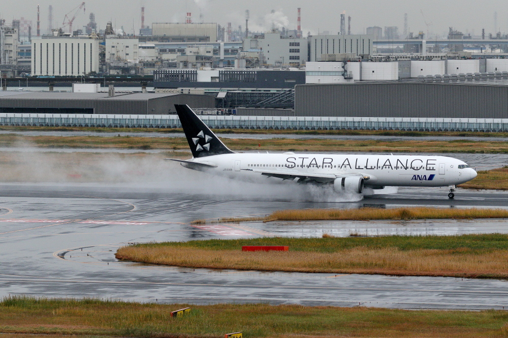 2019年11月羽田遠征 その15 ANA スタアラ塗装機のランディング_e0204891_19453818.jpg