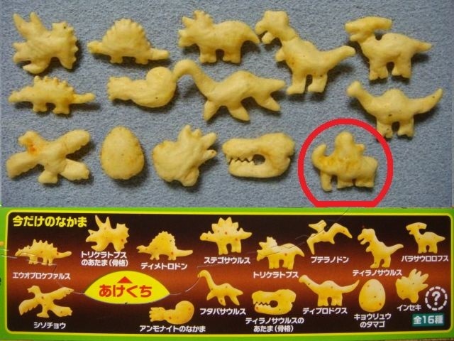 森永製菓 おっとっと 古代生物 恐竜の型 茨城県化石工房