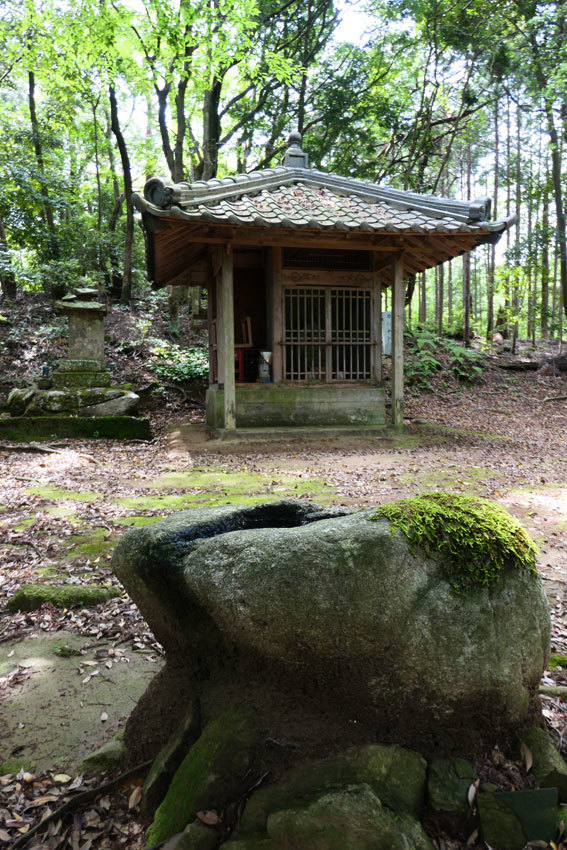 お話 \"神ノ木が茂る榊原\"_b0145296_19460426.jpg