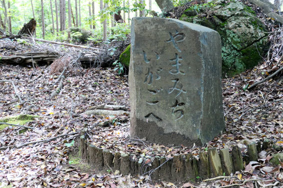 お話 \"神ノ木が茂る榊原\"_b0145296_19461276.jpg