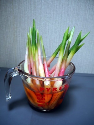 はじかみ生姜と枝豆_f0129726_20591567.jpg