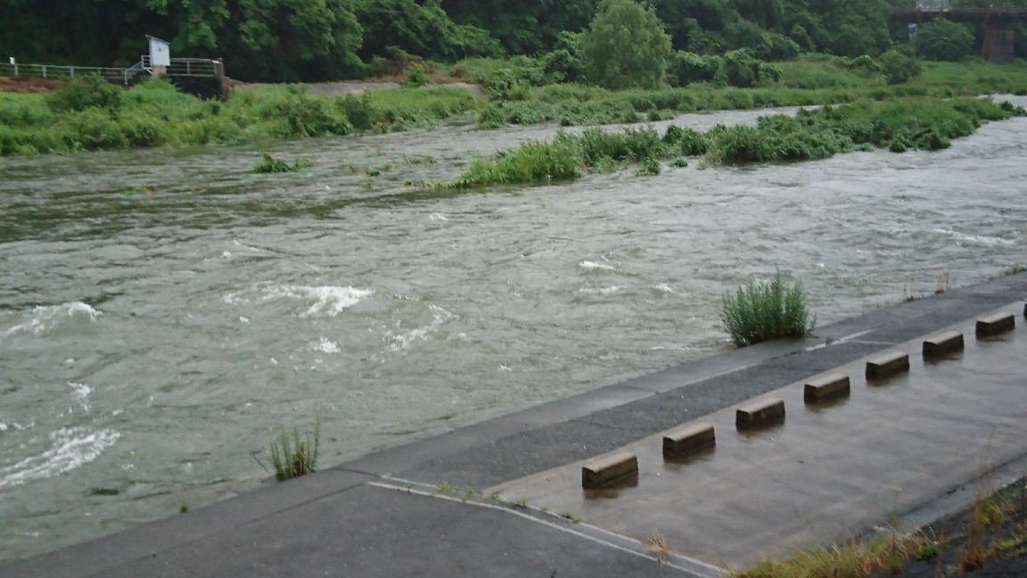 6月19日河川情報。 ..._c0266737_07185613.jpg