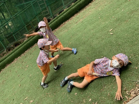 今日は何をしようかな_a0051662_17062290.jpeg