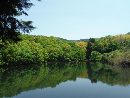 山の辺の道 サイクリング_b0332867_09445794.jpg