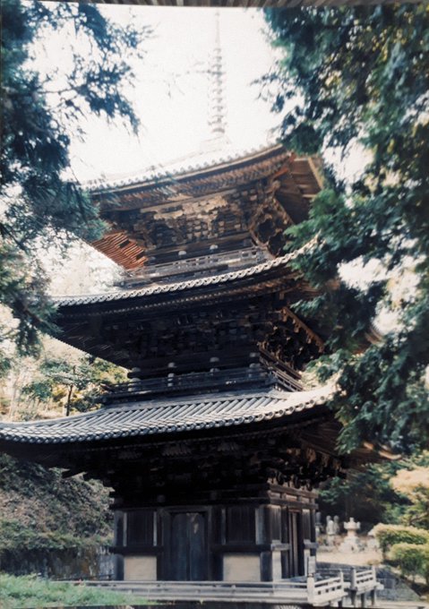 2020/6/15conc.-6/19am00:53琵琶湖周辺の国宝建築物・史跡、石仁王、雪谷八幡宮、戸越八幡宮、リモートワーク機器の危機、東京感染者40人でも騒がなくなる_b0116271_12484444.jpg