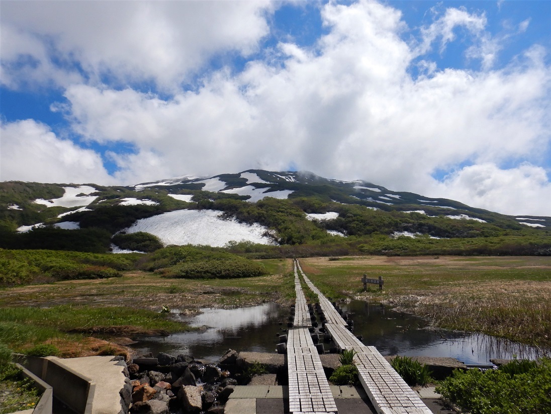 鳥海山・祓川ルート ～ ２０２０年６月７日_f0170180_05133303.jpg