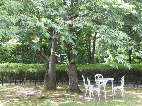 ある初夏の思い出(ファッションからの妄想)_f0378589_18454372.jpeg