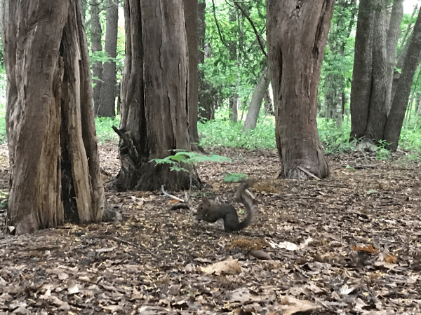 静かなる騒然_b0199097_12184084.gif