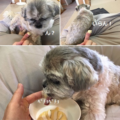 王子のご飯事情とリメイク時計。_f0372998_20421090.jpg