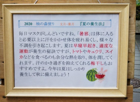 夏の養生法_f0354314_11524061.jpg