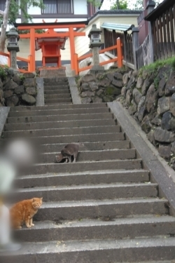 ゆったり春日大社（岡）_f0354314_15030794.jpg