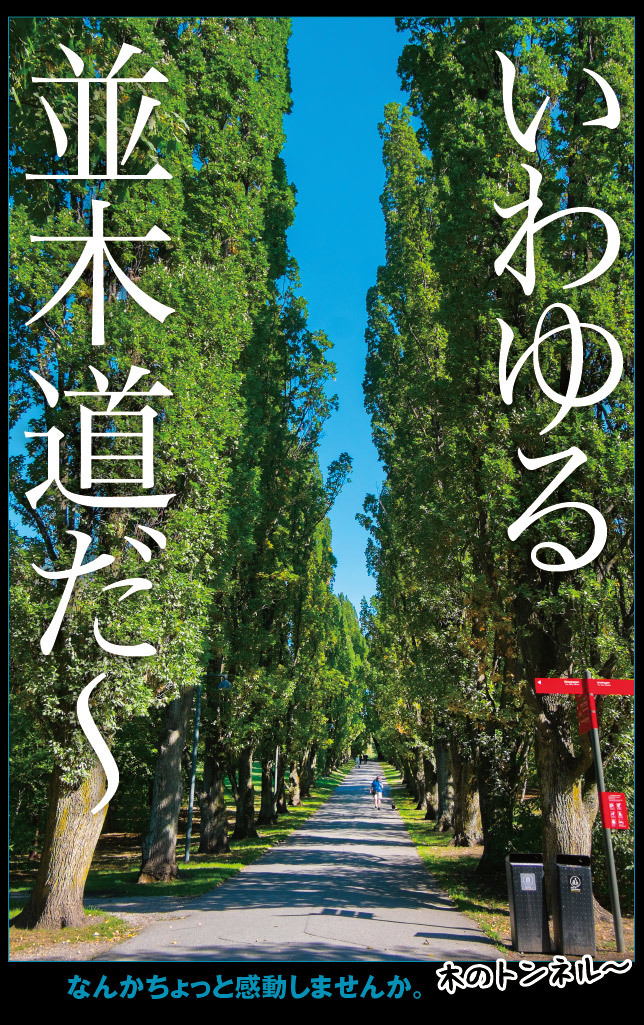 アート旅行に行こう!その75_a0358016_14022528.jpg