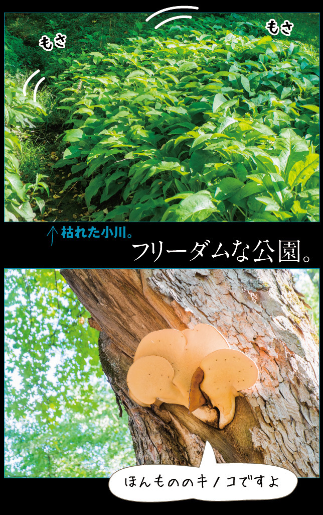 アート旅行に行こう!その75_a0358016_14023975.jpg