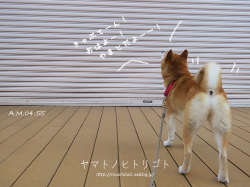 あーした天気にしておくれ♪【フォトムービーあり】_e0394031_05160596.jpg