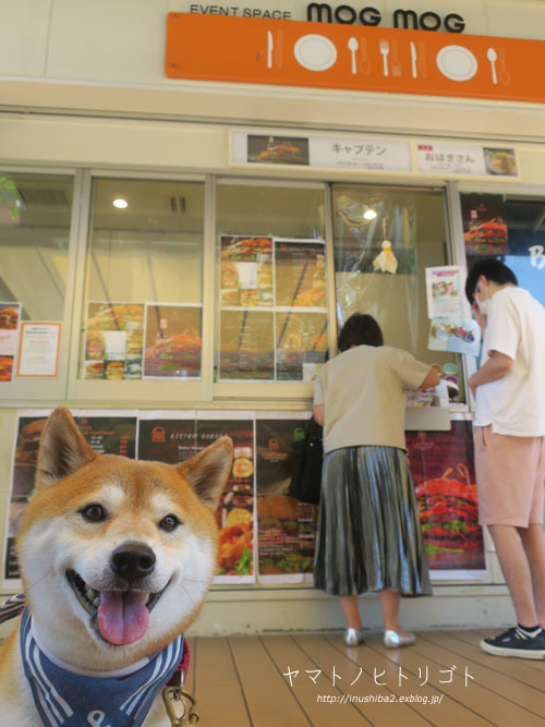 あーした天気にしておくれ♪【フォトムービーあり】_e0394031_05170944.jpg