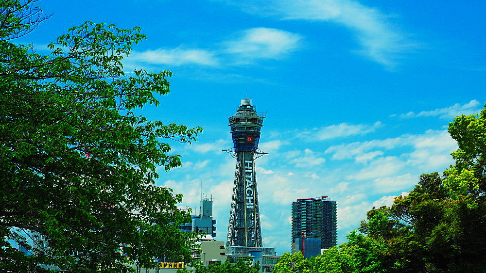 初夏の青空の下にて_a0287533_16555985.jpg