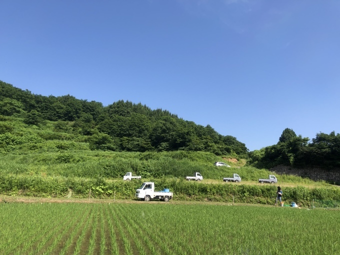 コイの田んぼの稲作活動２０２０_d0182179_14401173.jpeg