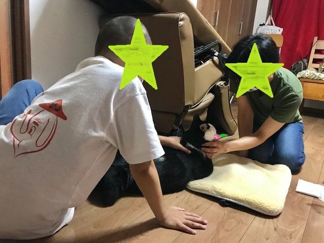 だんぷくん 新生活スタート!_f0242002_15085526.jpg