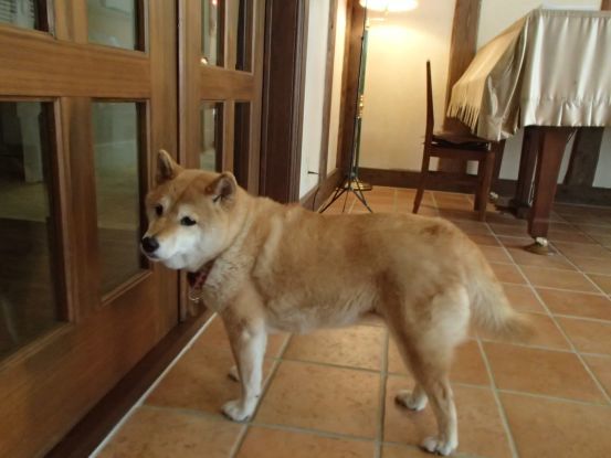 久しぶりに賑やかなテラスでのひと時_f0064906_16210338.jpg
