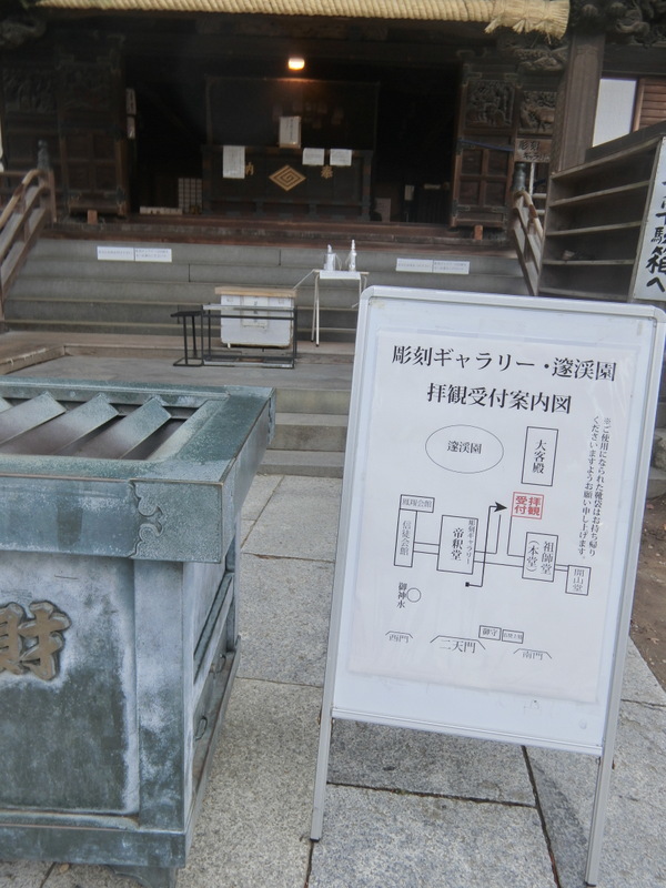 6月21日(日) 土手に活気が出てきました_d0278912_11561051.jpg