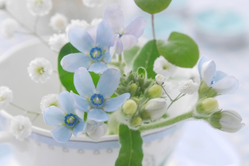 女神のレスキューについて 佐賀 嬉野温泉きららカフェ