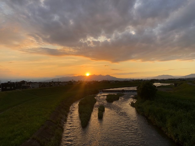 梅雨の晴れ間に。。。_f0332332_08584267.jpg