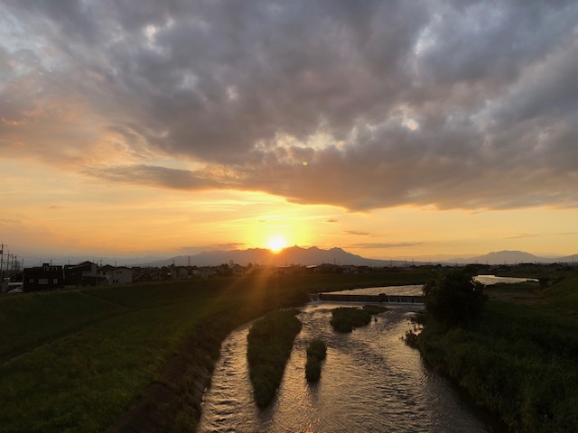 梅雨の晴れ間に。。。_f0332332_08584601.jpg