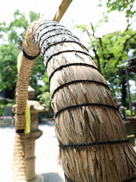 北区　七社神社　by LUMIX20-60mm_f0050534_10171153.jpg
