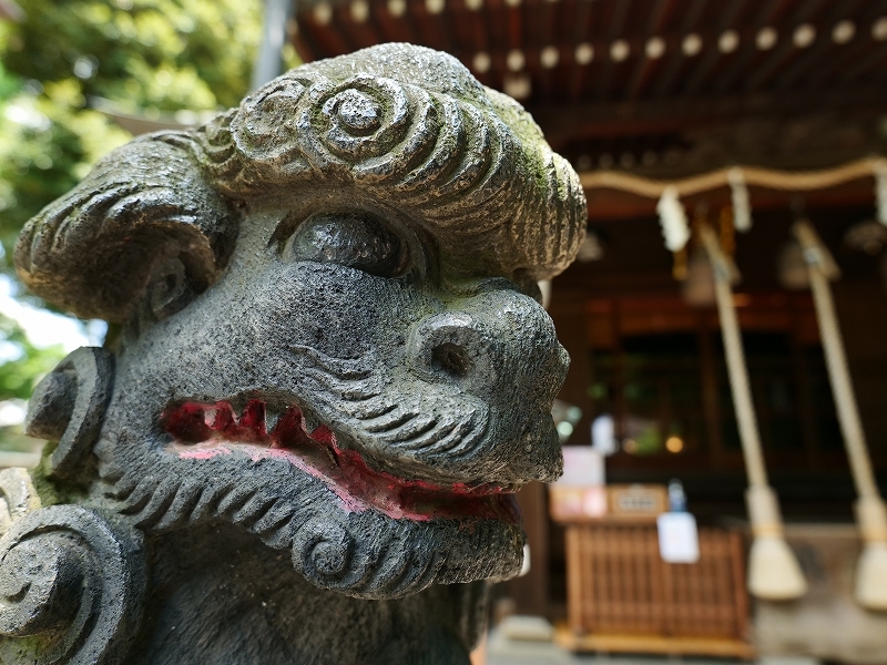 北区　七社神社　by LUMIX20-60mm_f0050534_10171158.jpg
