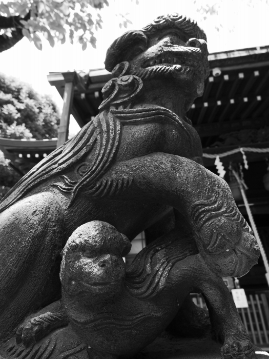 北区　七社神社　by LUMIX20-60mm_f0050534_10171229.jpg