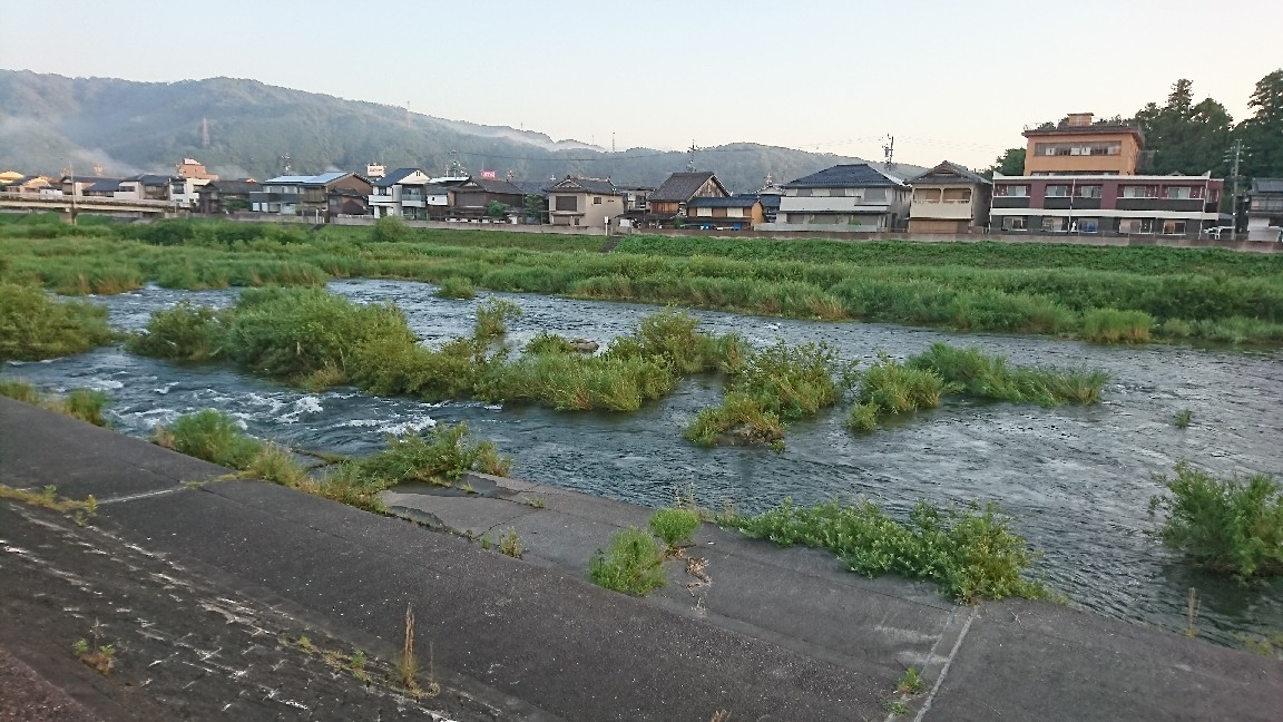 河川情報 2020,6,21日曜..._c0266737_05334672.jpg