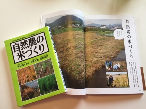 自然農の田んぼ_c0331145_20141567.jpg