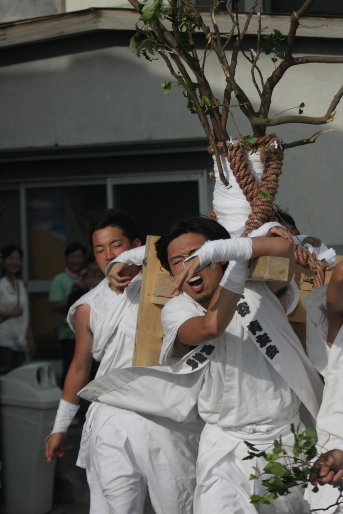 秋谷神明社御祭禮−1_f0156448_01073408.jpg
