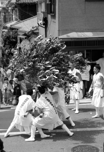 秋谷神明社御祭禮−1_f0156448_01091424.jpg