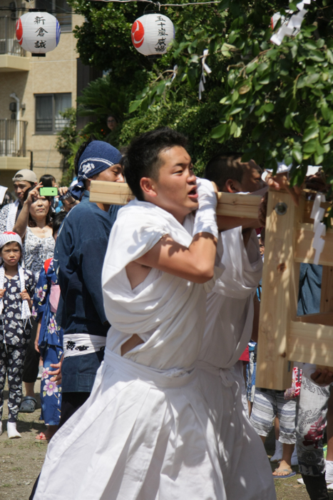 秋谷神明社御祭禮−1_f0156448_01163140.jpg