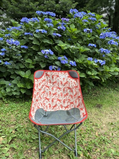 公園デビュー!!_c0113755_21595604.jpeg