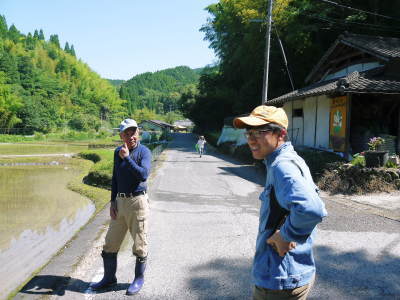 究極の柑橘「せとか」 着果の様子(2020) 惜しまぬ手間ひまと匠の技で“本物”と呼べる美味しさに育てます_a0254656_18322025.jpg