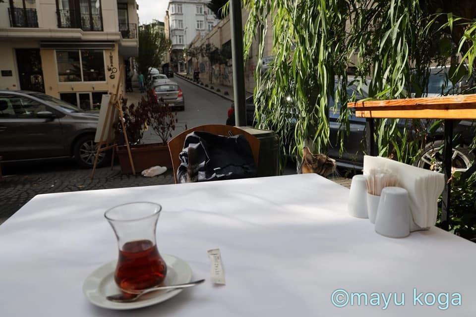 猫とのんびりティータイム☕_e0255060_18140554.jpg