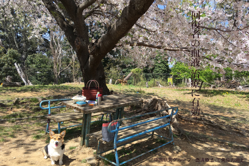 June 21 2020 急に進んだ_d0023170_22280575.jpg