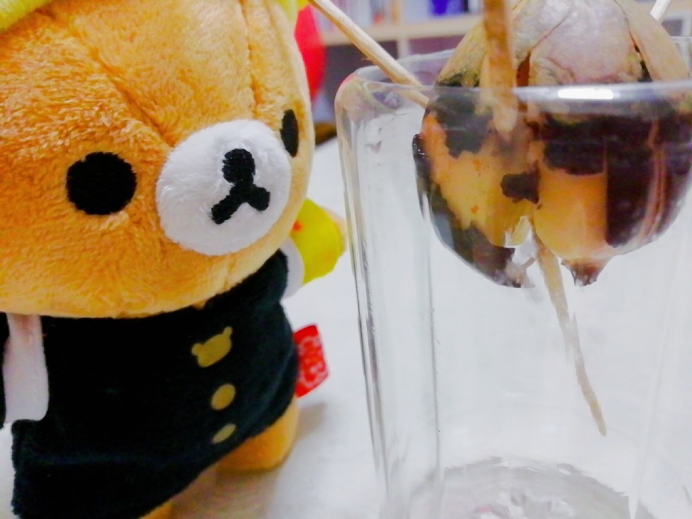 ☆アボカド成長日記☆_f0351775_09313969.jpg