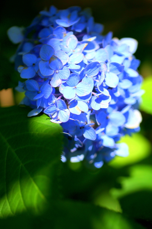 鶴舞公園_f0367980_20380110.jpg